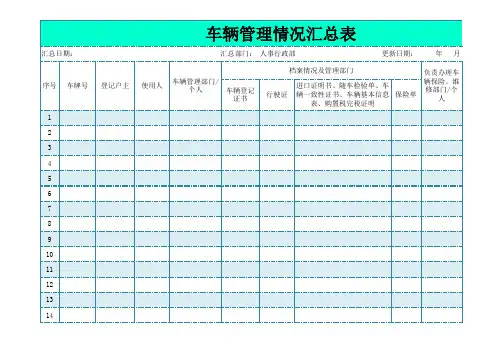 车辆情况统计表