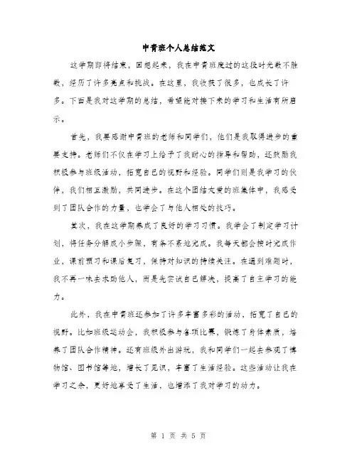 中青班个人总结范文(2篇)