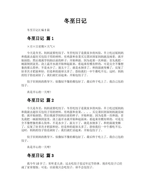冬至日记-专业文档