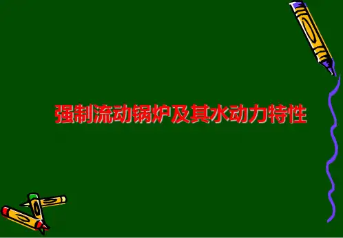 强制流动锅炉及其水动力特性