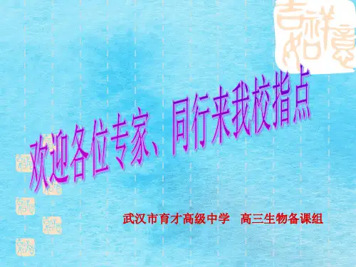 细胞分裂过程中染色体形态结构、数量、行为变化ppt课件