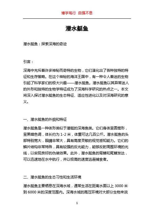 潜水艇鱼_精品文档