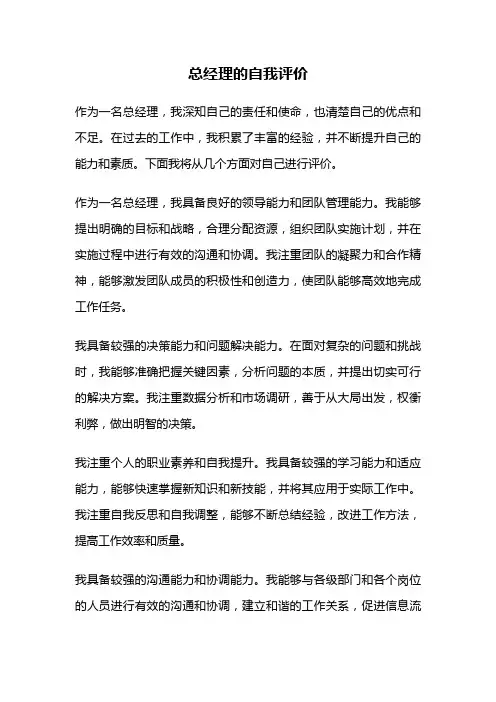总经理的自我评价