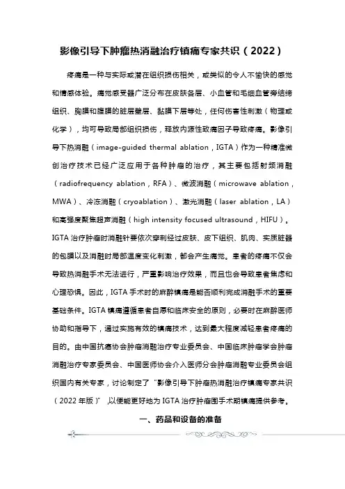 影像引导下肿瘤热消融治疗镇痛专家共识(2022)