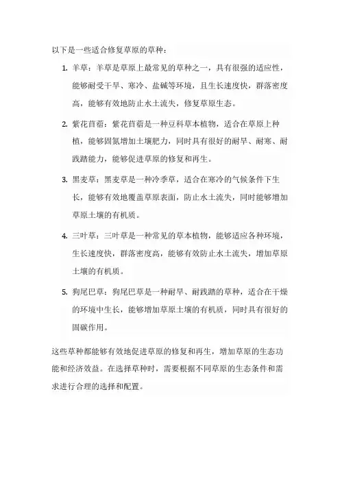 适合修复草原的草种