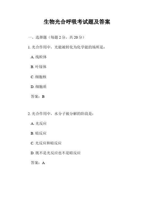 生物光合呼吸考试题及答案