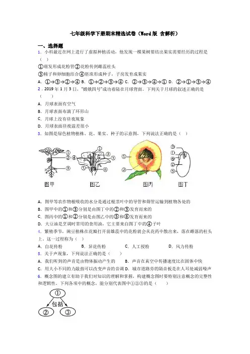 七年级科学下册期末精选试卷(Word版 含解析)
