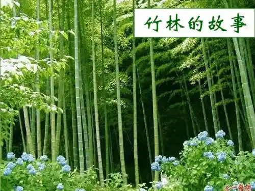 竹林的故事