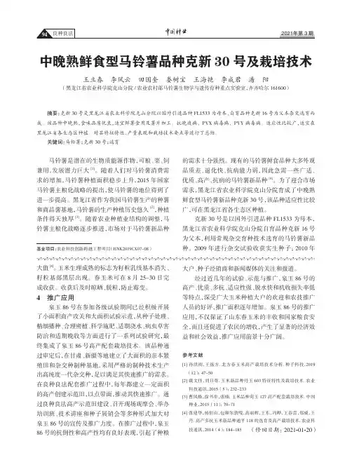 中晚熟鲜食型马铃薯品种克新30号及栽培技术