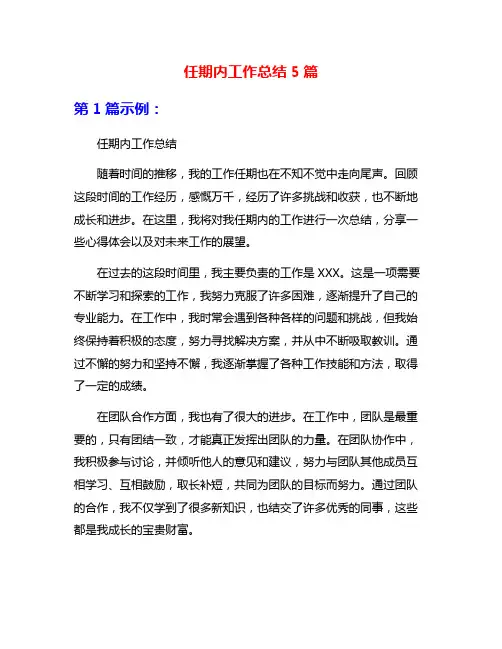 任期内工作总结5篇