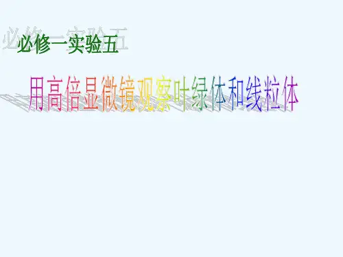 用高倍镜观察线粒体和叶绿体解析