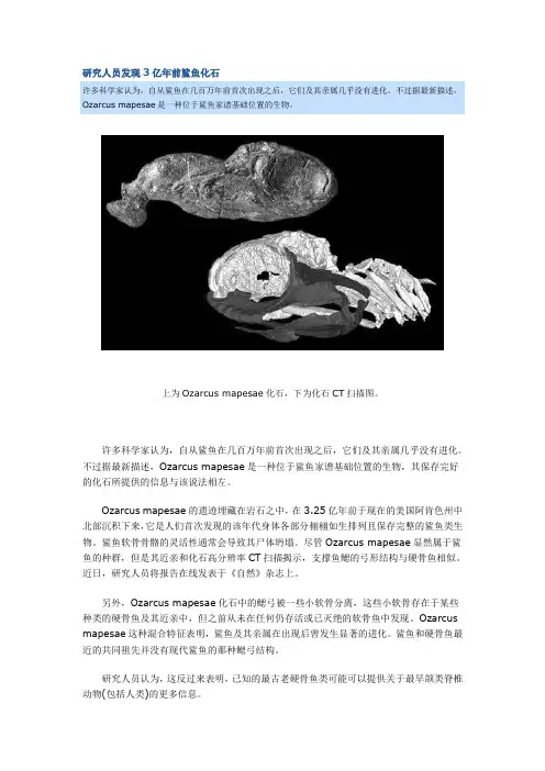 研究人员发现3亿年前鲨鱼化石
