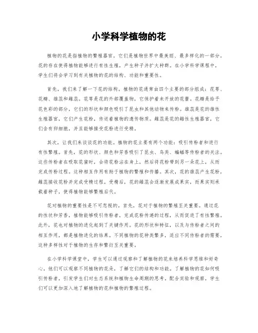 小学科学植物的花