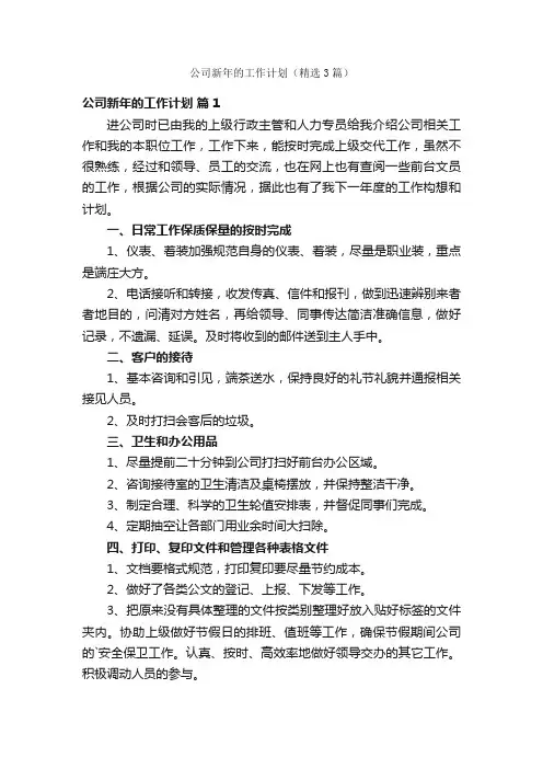 公司新年的工作计划（精选3篇）