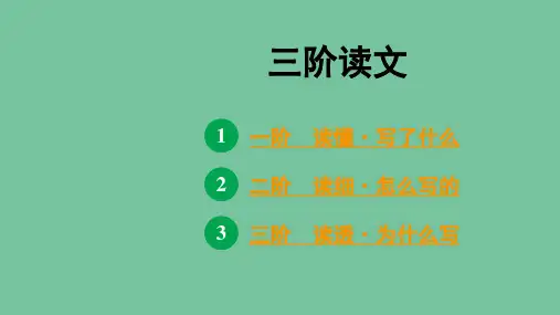 中考语文现代文阅读系统训练之议论文阅读