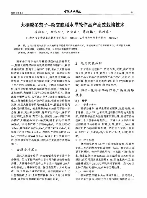 大棚越冬茄子-杂交晚稻水旱轮作高产高效栽培技术
