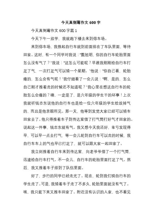 今天真倒霉作文600字