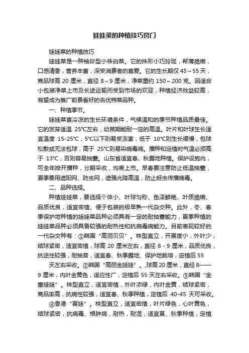 娃娃菜的种植技巧窍门