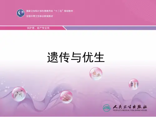 第二章  第一节遗传的分子基础