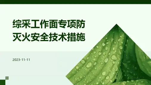 综采工作面专项防灭火安全技术措施