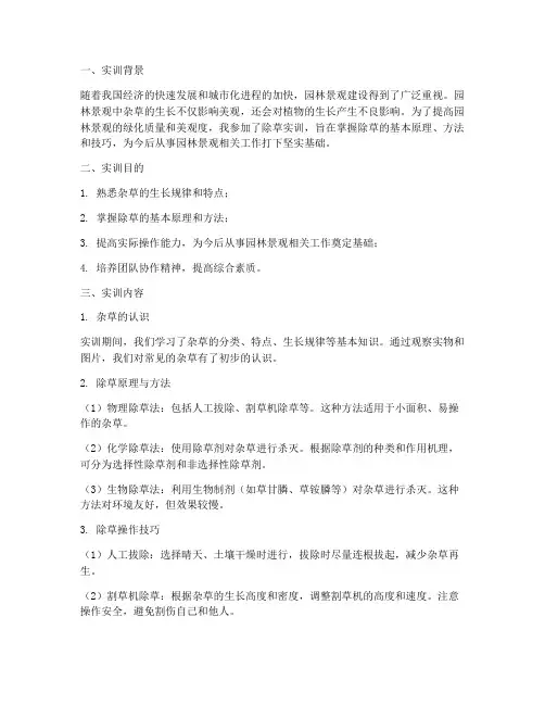 除草实训报告