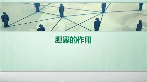 胆囊的作用PPT课件