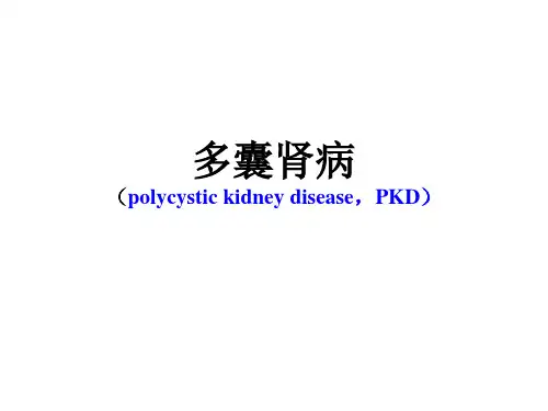 2019年多囊肾病.ppt