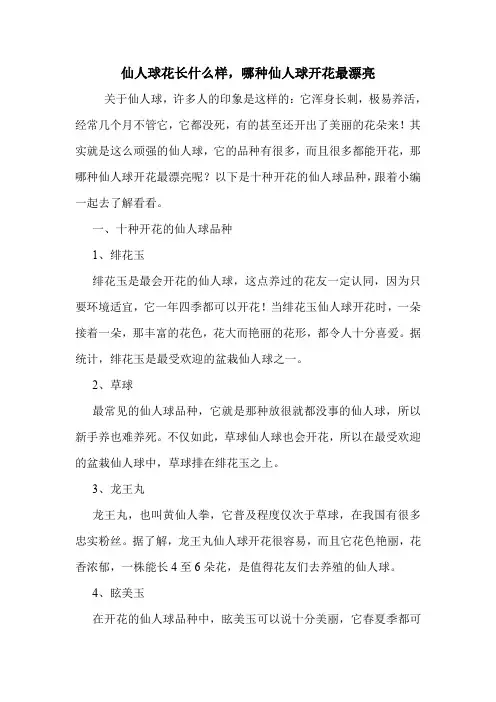 仙人球花长什么样,哪种仙人球开花最漂亮.doc