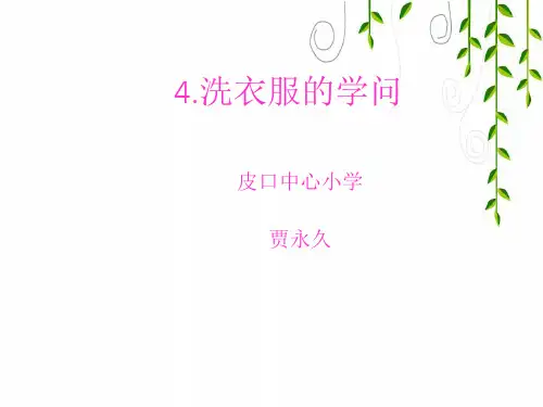 苏教版科学六年级上册洗衣服的学问 (4)