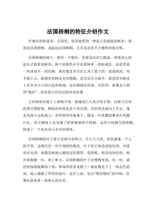 法国梧桐的特征介绍作文