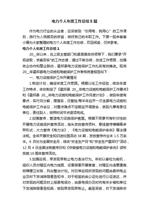 电力个人年度工作总结5篇