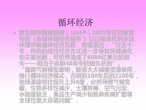 循环经济的定义与原则(ppt 50页)