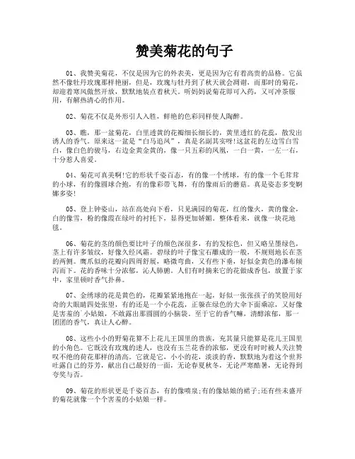 赞美菊花的句子
