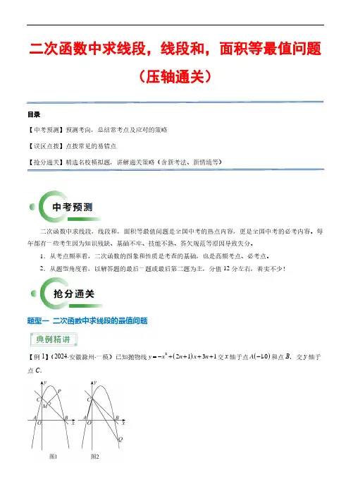 二次函数中求线段,线段和,面积等最值问题—备战2024年中考数学(全国通用)(解析版)