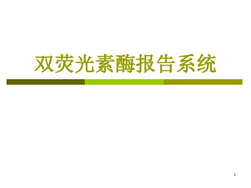 双荧光素酶系统实验操作步骤及方法ppt课件