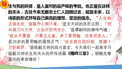 《梅岭三章》ppt课件