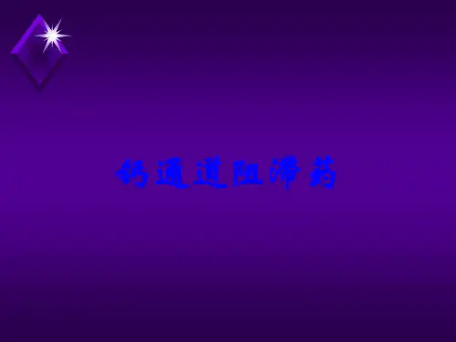 钙通道阻滞药