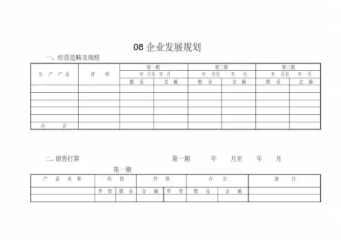 08企业发展规划