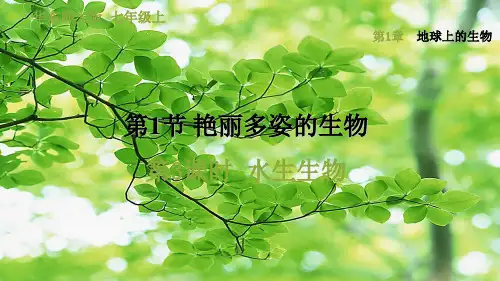 七年级科学 第1章 地球上的生物 1《艳丽多姿的生物》3 水生生物习题 自然科学