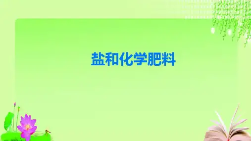 最新中考复习--- 盐和化学肥料(共19张PPT)教育课件
