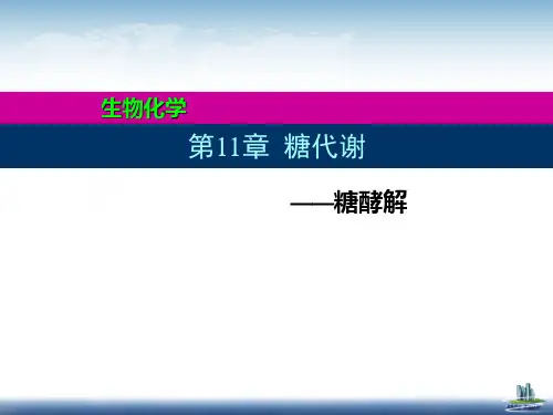 生物化学课件：11 糖酵解