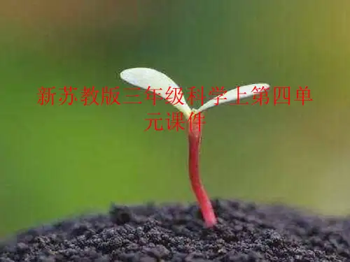 新苏教版三年级科学上第四单元地球上的水资源课件