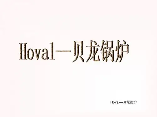 Hoval—贝龙锅炉