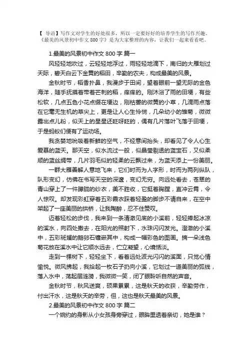 最美的风景初中作文800字