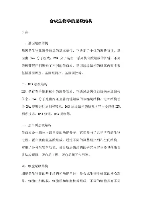 合成生物学的层级结构