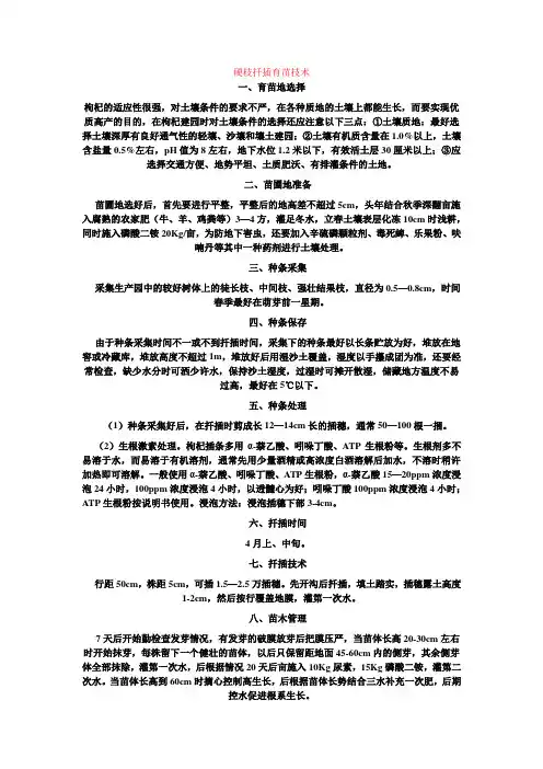 枸杞育苗技术