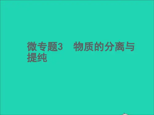 2022年中考化学微专题3物质的分离与提纯精讲本课件