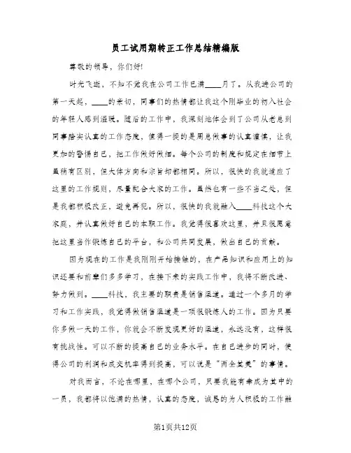 员工试用期转正工作总结精编版(5篇)