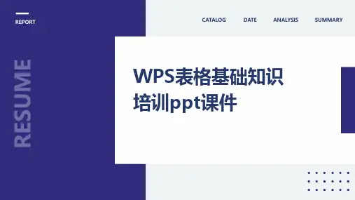 2024WPS表格基础知识培训ppt课件