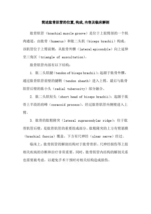 简述肱骨肌管的位置,构成,内容及临床解剖